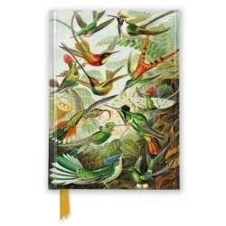 Notatnik A6 linia TW Kolibry Ernst Haeckel