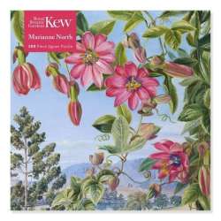 Puzzle 500 Widok w ogrodzie Brisbane Kew Marianne - 1