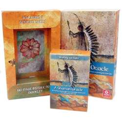 Karty tarot Shaman Oracle