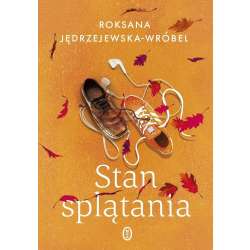 Stan splątania