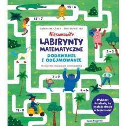 Niesamowite labirynty matematyczne. Dodawanie...