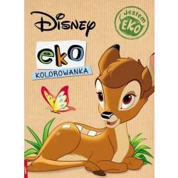 Disney. Ekokolorowanka (EKO-9104)