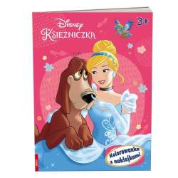 Disney Księżniczka. Kolorowanka z naklejkami (NA-9120)