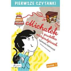 Pierwsze czytanki Michałek i pudełko.. Poziom 3 - 1