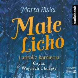 Małe Licho i anioł z kamienia audiobook - 1