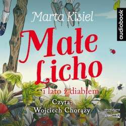 Małe Licho i lato z diabłem audiobook - 1