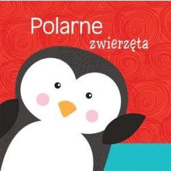 Polarne zwierzęta - 1