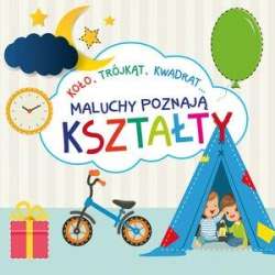 Maluchy poznają kształty - 1