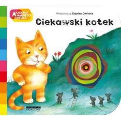 Ciekawski kotek