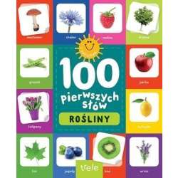 Rośliny. 100 pierwszych słów - 1