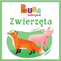 Zwierzęta