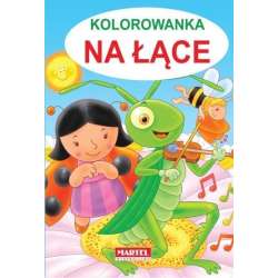 Kolorowanka - Na łące - 1