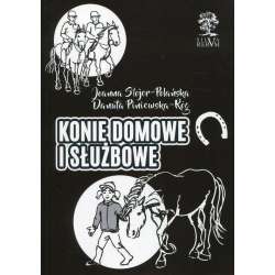 Konie domowe i służbowe - 1