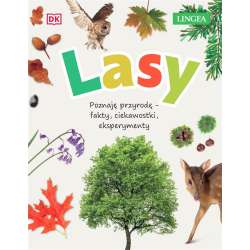 Lasy - 1