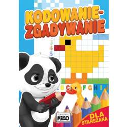 Kodowanie - zgadywanie dla starszaka - 1