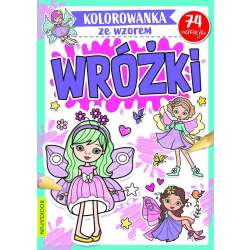 Kolorowanka ze wzorem. Wróżki (9788366651982) - 1