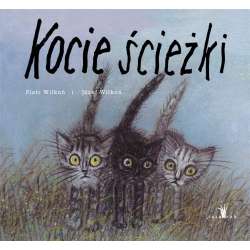 Kocie ścieżki - 1