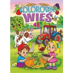 Kolorowa wieś - 1