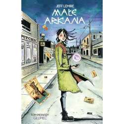 Małe Arkana T.1 Głupiec