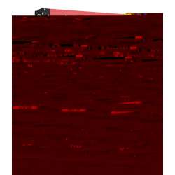 Książka, która w końcu ujawnia całą prawdę o...