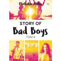 Story of Bad Boys T.4