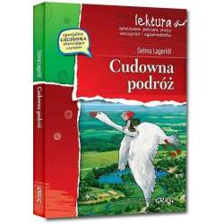 Cudowna podróż - 1