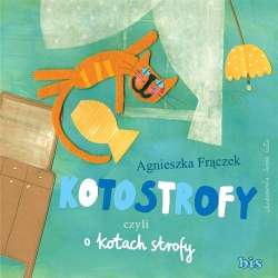 Kotostrofy czyli o kotach strofy - 1