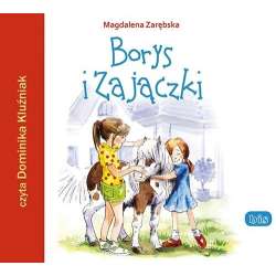 Borys i Zajączki audiobook
