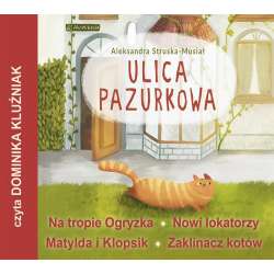 Ulica Pazurkowa audiobook