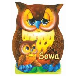 Sowa LIWONA - 1