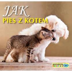 Poznajemy zwierzęta - Jak pies z kotem - 1