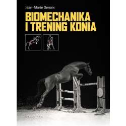 Biomechanika i trening konia