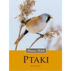 Ptaki. Fauna Polski