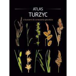 Atlas turzyc z kluczami do oznaczania gatunków