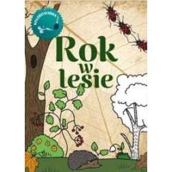 Rok w lesie Kolorowanka - 1