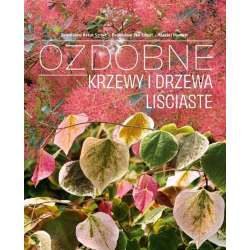 Ozdobne Krzewy i drzewa Liściaste