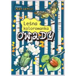 Leśna kolorowanka. Owady