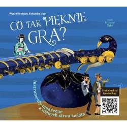 Co tak pięknie gra? Instrumenty z różnych stron... - 1