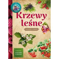 Młody obserwator przyrody.Krzewy leśne