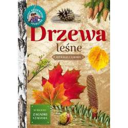 Młody obserwator przyrody. Drzewa leśne w.2022