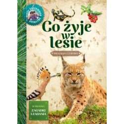 Młody obserwator przyrody - Co żyje w lesie