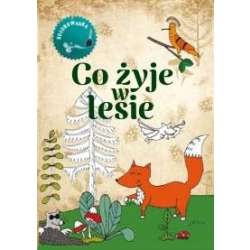 Co żyje w lesie Kolorowanka - 1