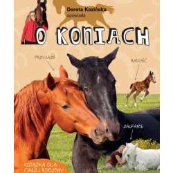 Dorota Kozińska opowiada o koniach w.2 - 1