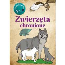 Kolorowanka Zwierzęta Chronione - 1