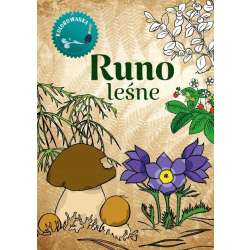 Kolorowanka. Runo Leśne
