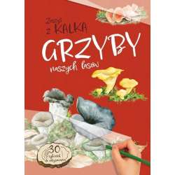 Grzyby Naszych Lasów. zeszyt z kalką