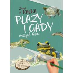 Płazy i Gady naszych lasów. zeszyt z kalką