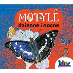 Motyle dzienne i nocne