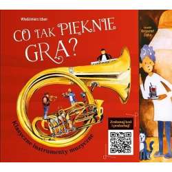 Co tak pięknie gra. Klasyczne instrumenty muzyczne