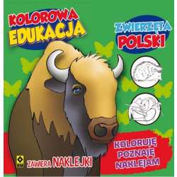 Kolorowa edukacja - Zwierzęta Polski w.2016 - 1